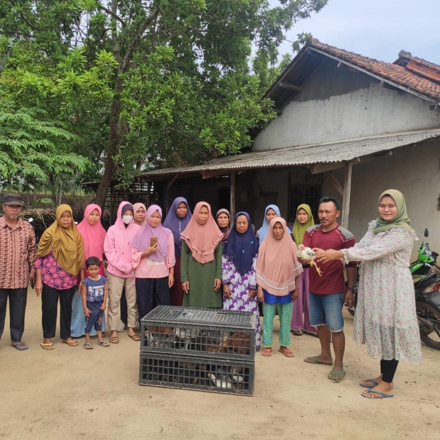 Penyaluran Program Bantuan Ketahanan Pangan Ayam Kampung Betelur untuk Warga Tiyuh Margodadi